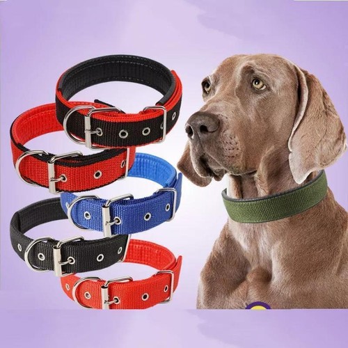 Dog cat puppy pet collar - dog,