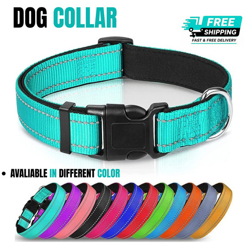 Dog collar reflective - collar,