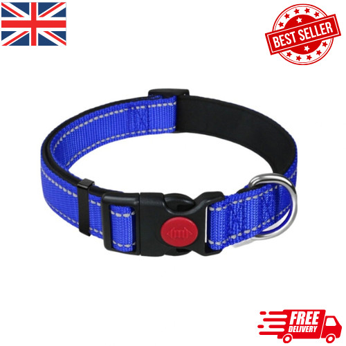 Dog collar reflective - dog,