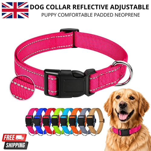 Dog collar reflective - dog,