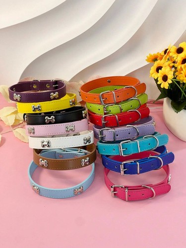 Leather dog collar puppy cat - dog,