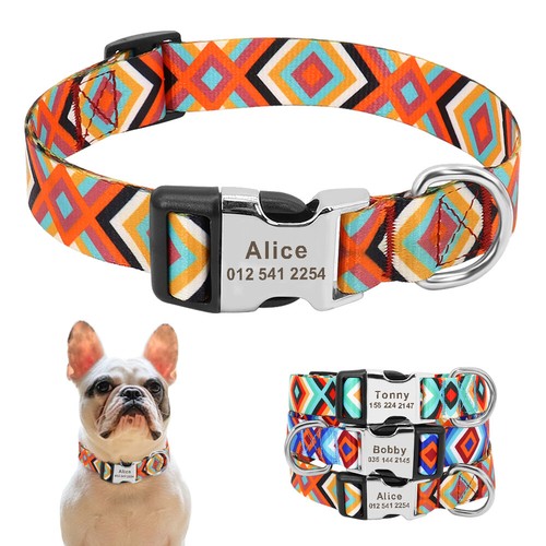 Customised dog collar - dog,