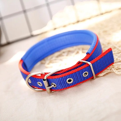 Solid dog collars - collars, nylon