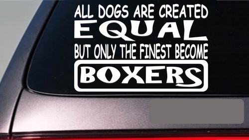 Boxers all dogs - , equal