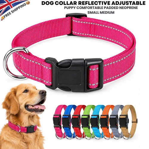 Dog collar reflective - dog,