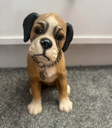 Sitting boxer puppy dog - sitting,