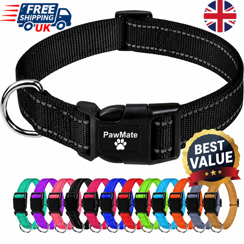 Dog collar reflective - collar,