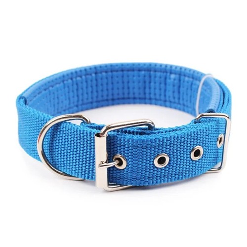 Nylon dog collar - collar, small