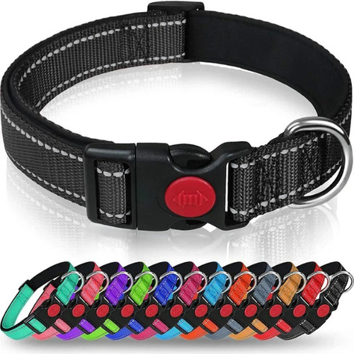 Dog collar reflective - dog,