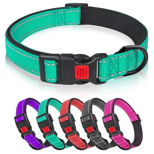 Dog collar reflective - collar,